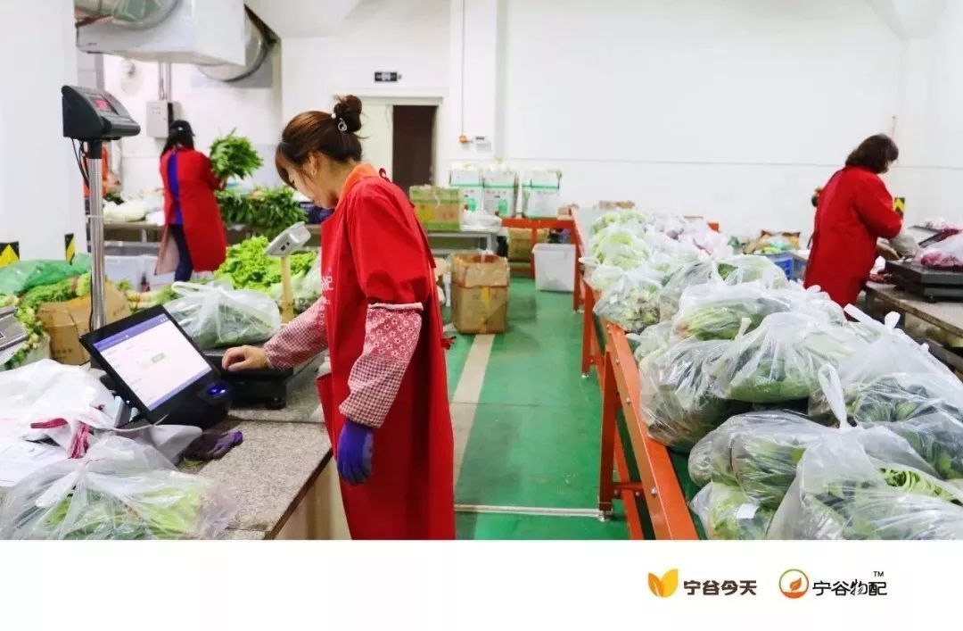 從零到億 這家谷物企業(yè)如何在三年內(nèi)創(chuàng)造商業(yè)奇跡